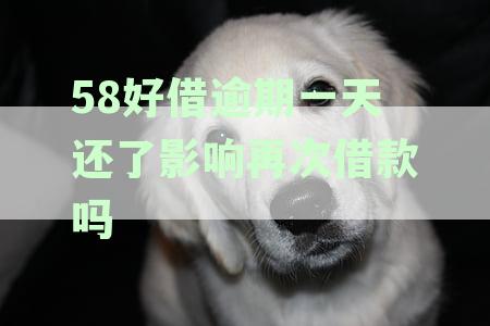 58好借逾期还款一天会对信用产生负面影响吗？