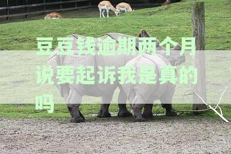 豆豆钱逾期两天会上征信吗？逾期第三天还款影响征信吗