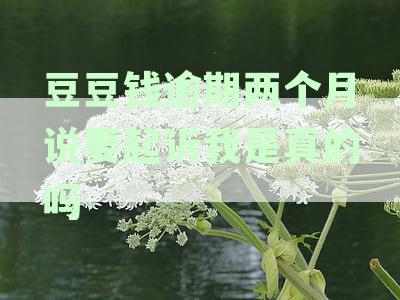 豆豆钱逾期2天6000多变成12000多真的吗
