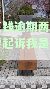 应对豆豆钱逾期难题：一次性还清债务的解决策略