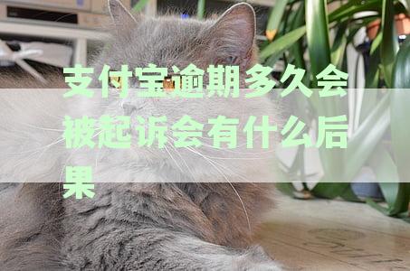 支付宝逾期多久会被起诉会有什么后果