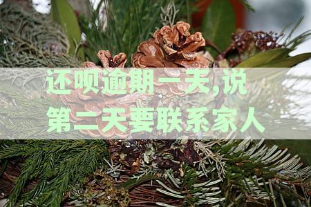还呗逾期两天会拨打紧急联系人电话吗？逾期后如何应对？