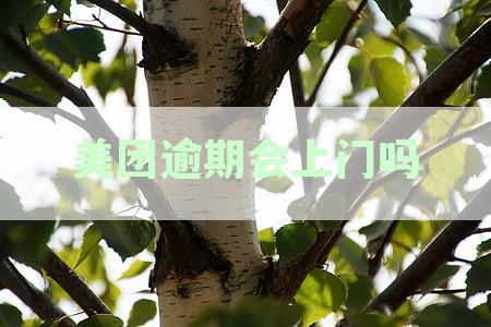 美团逾期会上门吗？电话不接就会没事吗？