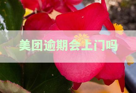 美团逾期真的会上门催收吗？1651012打电话给你吗？知乎用户经验分享