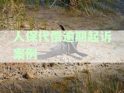 人保代偿逾期起诉案例