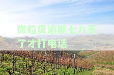 微粒贷逾期七八天了才打电话