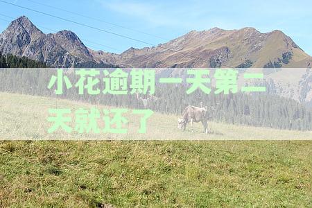 小花逾期一天第二天就还了