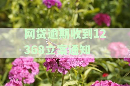 网贷逾期收到12368立案通知怎么办-网贷逾期收到12368立案通知怎么办呢
