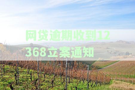 网贷逾期后收到12368立案通知短信，多久会冻结银行卡？起诉与执行流程详解