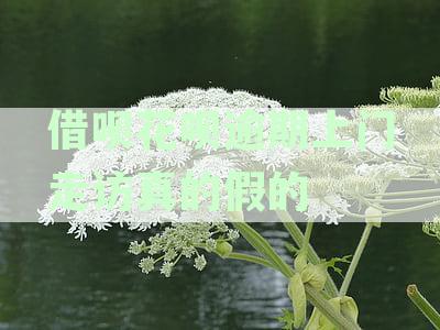 花呗逾期后被催收上门走访是真的吗？掌握这些方法应对逾期问题