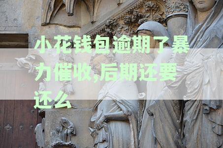 小花钱包逾期了暴力催收,后期还要还么