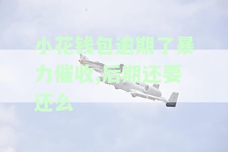 小花钱包逾期了暴力催收,后期还要还么