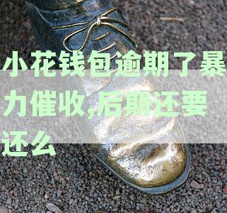 小花钱包暴力催收,严重影响我的生活-小花钱包暴力催收应该打哪里电话报警