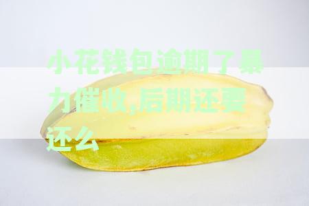 小花钱包逾期了暴力催收,后期还要还么