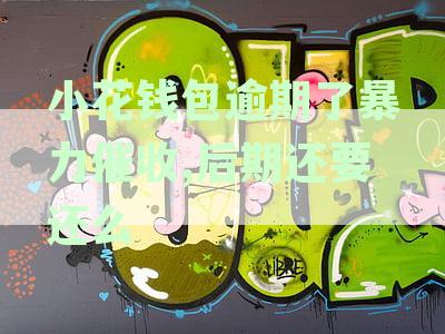 小花钱包逾期了暴力催收,后期还要还么