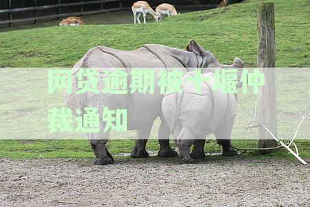 网贷逾期被通知仲裁，怎么办？