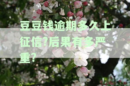 豆豆钱逾期还款：逾期几天会上征信记录？