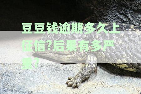 豆豆钱逾期还款后果严重吗？逾期后怎么处理？
