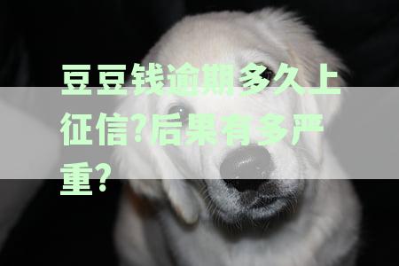 豆豆钱逾期多久会被起诉？逾期超过几个月可能会触发法律程序