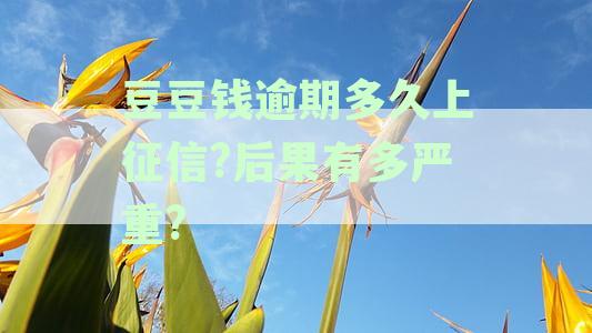 豆豆钱逾期2天6000多变成12000多真的吗？