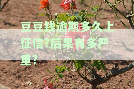 豆豆钱逾期两个月，真的会起诉我吗？