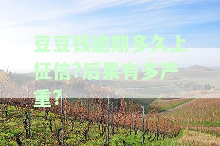 豆豆钱逾期多久上征信?后果有多严重?