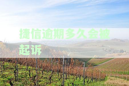 逾期还贷会否被起诉并拍卖房产？捷信逾期处理机制详解