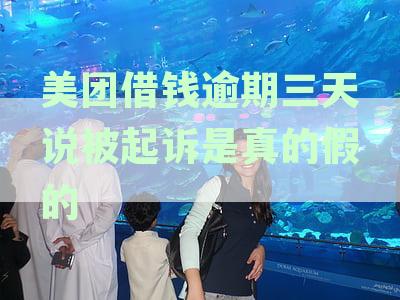 美团借钱逾期三天说被起诉是真的假的