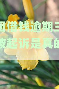美团借钱逾期三天说被起诉是真的假的