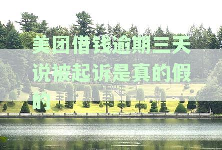 美团借钱逾期3天后还能借款吗？逾期还款是否上征信？解决方案及影响
