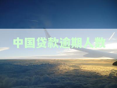 2023年中国贷款逾期人数统计央行数据概览