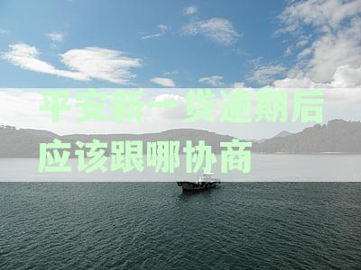 平安新一贷逾期后应该跟哪协商