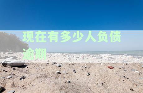 现在有多少人负债逾期了？2021年中国负债逾期人数统计