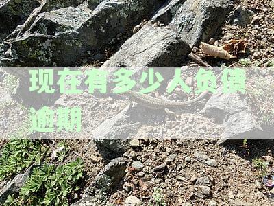 2021年中国负债逾期人数揭晓，与美国日本相比规模如何？