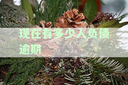中国全国负债人数究竟有多少？最新数据揭示惊人真相！