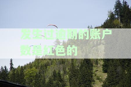 逾期账户数为何用红色标记？揭示发生逾期的含义与处理方式