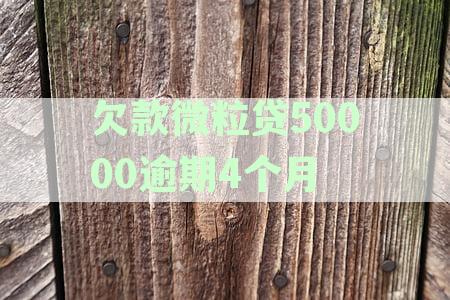 微粒贷逾期4个月说起诉需要多久时间开庭与还清