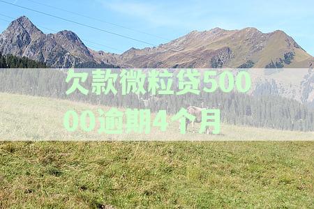 欠款微粒贷50000逾期4个月