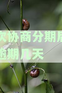 二次协商分期后可以逾期几天