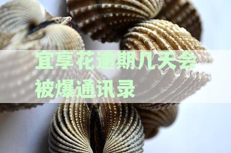 宜享花逾期几天会被爆通讯录