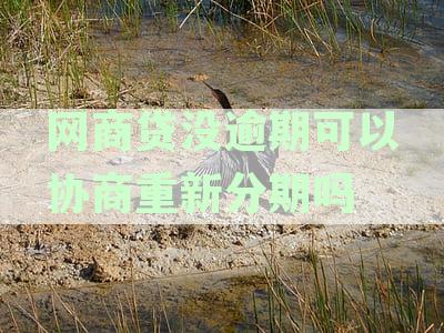 网商贷没逾期可以协商重新分期吗怎么办,如何处理网商贷还款困难