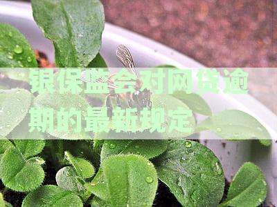 银保监会对网贷逾期的最新规定