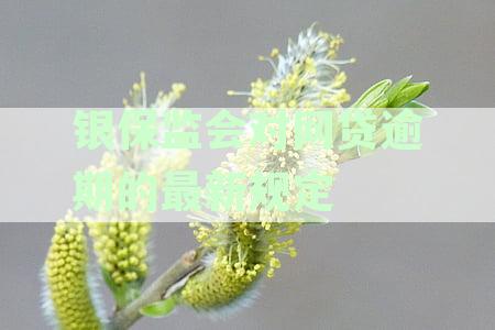 中国保监会发布关于网贷逾期催收的最新金融规定