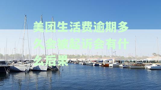 美团生活费逾期多久会被起诉会有什么后果