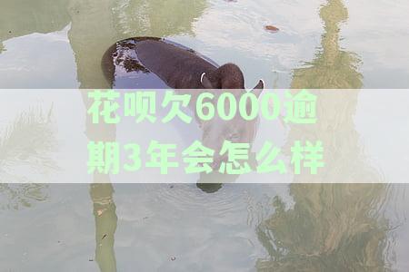 花呗欠6000逾期3年会怎么样会不会被告诈骗或上法庭