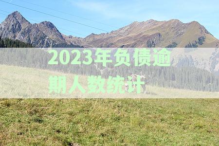 2020年全国逾期负债人数：中国与美国市场分析