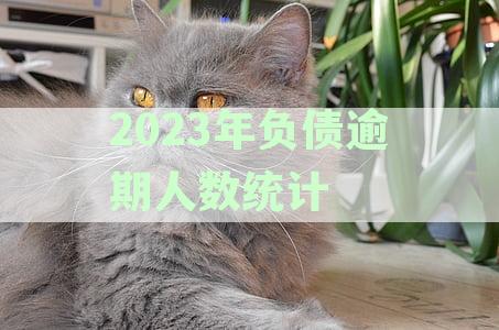 2020年全国负债率与逾期率具体数据是多少-2020年全国负债率与逾期率具体数据是多少