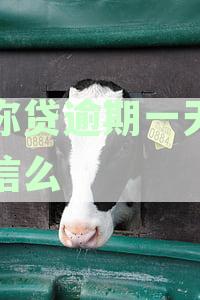 邮你贷逾期一天会怎样：影响征信、再借难吗？