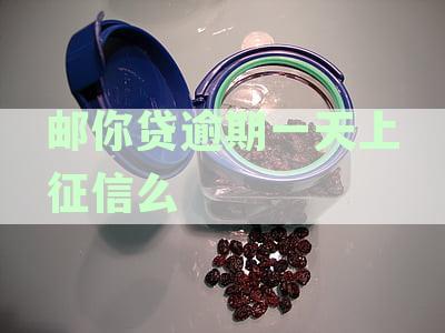 邮你贷逾期后宽限几天：逾期还款政策详解