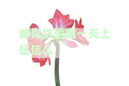 邮你贷逾期一天上征信么